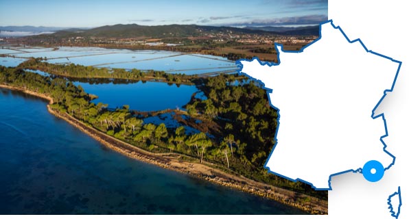 Vieux Salins dHyères