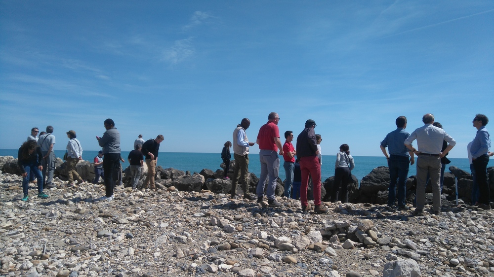 Des Guyanais en Camargue et COTECH adapto