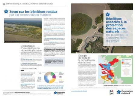 The flyer regarding the adapto project on the Leyre Delta